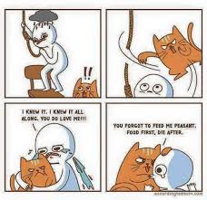 Cat memes are always in style. 65 Of The Best Cat Memes That Show Who S The Real Boss Inspirationfeed