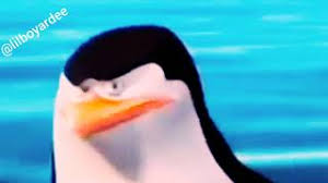 Collaborate with other fellow meme traders. Wouldn T That Make You Gay Youtube