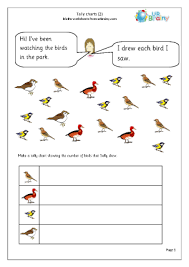 Tally Chart Birds