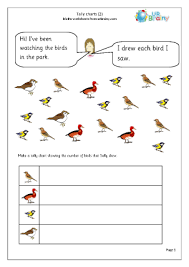 tally chart birds