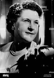 Robert Ackland's Instagram, Twitter & Facebook