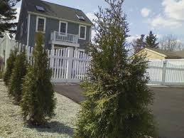 Agents, brokers, realtors and for sale by owner: Webster Lake House For Sale Home Facebook
