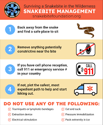 Image result for Snake Bite