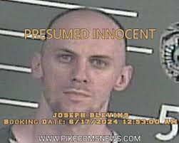 JOSEPH BLEVINS ARREST