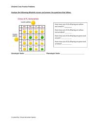 Mar 06, 2017 · in a dihybrid cross, the expected ratio in the f2 generation is 9:3:3:1. Dihybrid Cross Interactive Activity Worksheet