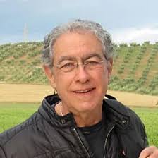 Dr. Joanna Self, PhD, Psychology