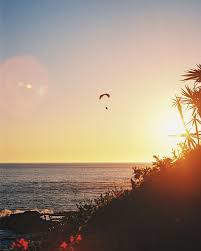 Adam Blackner (@adamblackner) • Instagram photos and videos