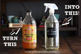 You can even use the solution when mopping floors. Diy All Purpose Cleaner Plus How To Make A Glass Spray Bottle