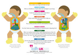 What Is Cdh Chd Awareness Big Muscles Baby