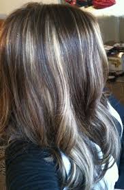 Pin By Alisa Meredith On Hair Dark Hair With Highlights Hair Styles Blonde Highlights On Dark Hair