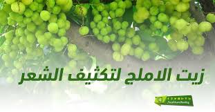 زيت الاملج لتكثيف الشعر Grapes Fruit Food