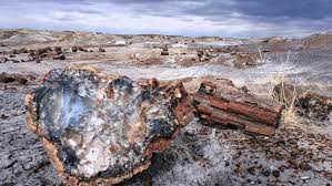 Petrified forest national park is open year round except christmas day. Camping World S Guide To Rving Petrified Forest National Park Camping World