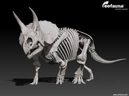 Image Result For Realistic 3d Triceratops Skeleton Rendering Prehistoric Creatures Prehistoric Dinosaurs Dinosaur