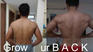Nevertheless, the exact number is difficult to define. How To Build A V Tapper Back Grow Your Back Muscles From Shit To Fit Youtube