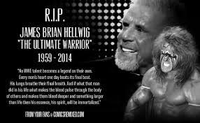 Brian Hellwig's Instagram, Twitter & Facebook