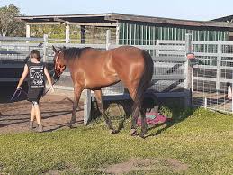 2023 JANUARY (Early) Online Sale