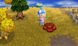 In the breeze stock no. Rafflesia Animal Crossing Wiki Fandom