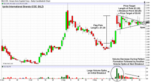 ignite stock is forming the perfect bull pennant chart