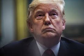 Trump card movie online free. The Internet Is Spending Donald Trump S Credit Card On Roblox And Donations