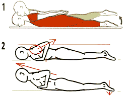 Exit Dos Rond Exercice De Tonification Dorso Lombaire Reepingle Par Maurie Daboux Avec Images Exercices De Tonification Exercice Exercice Dos