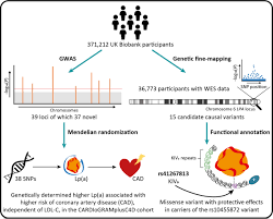 See more of anne_v_ibrahim on facebook. Genome Wide Association Study And Identification Of A Protective Missense Variant On Lipoprotein A Concentration Arteriosclerosis Thrombosis And Vascular Biology