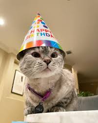 Happy 11th birthday to me 💕🎉❤️🎂