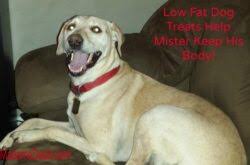 By maddy morris june 03, 2021 reviews Low Fat Dog Treats Real Advice Gal