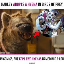 Birds Of Prey Cassandra Cain Fanart Pin By Stephanie Molina On Dc In 2020 Hyena Comics Dc Villains