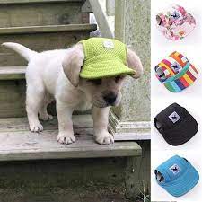 Summer Dog Hat Super Cute Dogs Baby Animals Puppies