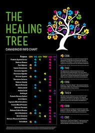 Cannabinoid Info Chart Tumblr