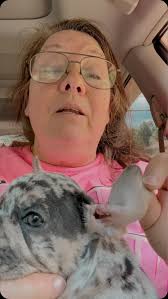 Spanky is having his ear repaired today. I’ll post an update of the results  in a few says. So far he’s doing well. #Frenchbulldogsofinstagram  #newyorkcity #newyork #celebrate #cesar #kindness ...