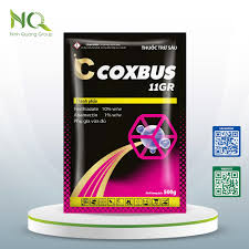 Coxbus 11GR