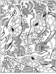 Coloring pages for adults giraffe related posts: Giraffes Coloring Pages For Adults