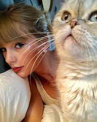 10 Reasons Dating The Girl Who Loves Cats More Than You Is 100 Percent Worth It Taylor Swift Cat Taylor Swift Pictures Taylor Swift