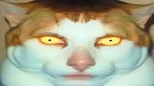 What Is The Monday Left Me Broken Meme? The Creepy Singing Cat With  Yellow Eye... | Know Your Meme