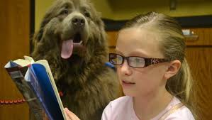 Free and affordable things to do for spring break fun