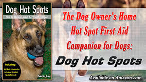 Dog Hot Spots How To Manage Treat Prevent Hot Spots Dog Hot Spots Fun Facts About Animals Dog Owners