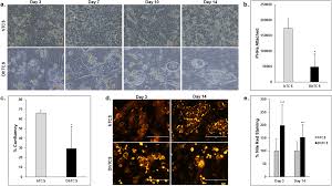 Image result for Nile Green 1951 Nash