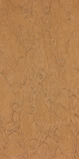 Image result for Afzelia