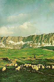 Vintage National Geographic Vintage National Geographic Vintage Landscape National Geographic Photography