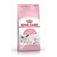 royal canin mother babycat 34 yavru kedi mamasi 2 kg yavru kediler kedi