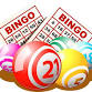 BINGO @ Lights Over Morse Lake Festival
