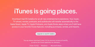 4 Best Itunes Alternatives For Mac After Catalina Update