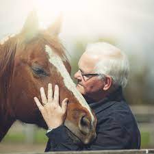 Learn The Lifespan Of A Horse