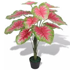 Artificial Caladium Plant With Pot 70 Cm Green And Red
