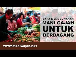 Sebelum nya coba cek dulu sekuat apa isinya. Cara Menggunakan Mani Gajah Untuk Dagang Aurapedia By Aura Pedia