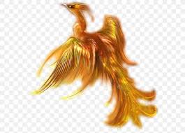 The phoenix is a legendary bird mentioned broadly in both greek mythologies and in the talmud of the judaism faith. Phoenix Mythology Legend Bird Png 600x587px Phoenix Bird Drawing Fairy Feather Download Free