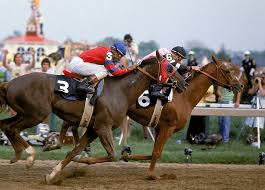 1978 Triple Crown Affirmed And Alydar Htr Software