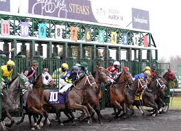 Get a full 30 days free access to the dave nevis acca club. Turfway Construction Halted Until Ky Clears Up Historical Racing Ambiguity