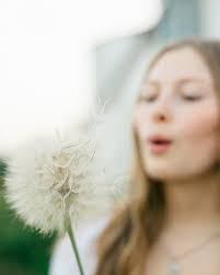 Ashley Rose Photography